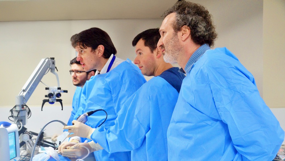 Santa Casa promove curso in&eacute;dito de cirurgia da base do cr&acirc;nio